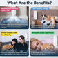 Mini Cat Litter Odor Purifier – Portable Ion Air Freshener