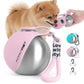 Portable Stainless Steel Dog Water Bottle