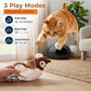Interactive Flapping Bird Cat Toy — Realistic Chirping & Motion Sensor