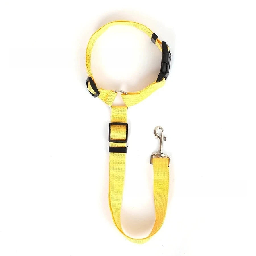 2-in-1 Dog Car Seat Belt & Leash – Adjustable Nylon Safety Harness