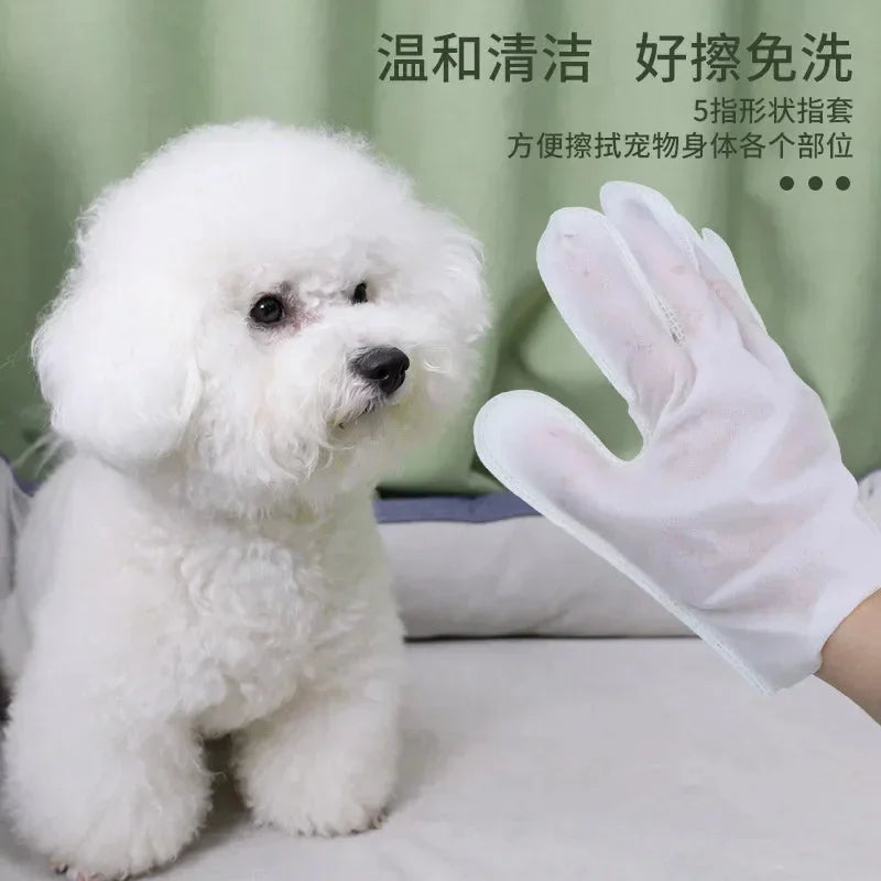 Rinseless Pet Cleaning Gloves — Natural Deodorizing Wipes for Dogs & Cats