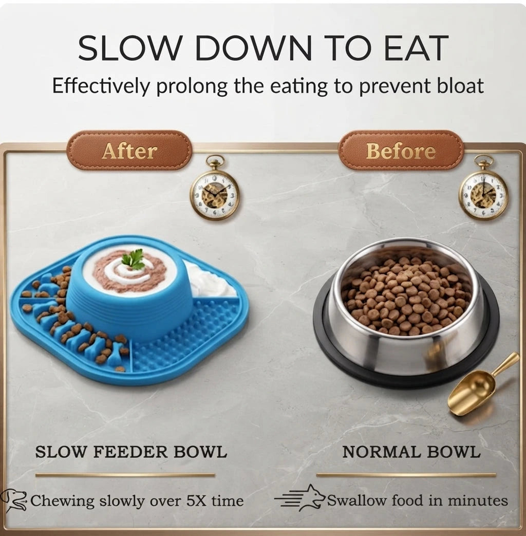 2-in-1 Pet Bowl with Lick Mat – Dog Slow Feed & Licking Pad