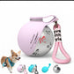 Portable Stainless Steel Dog Water Bottle