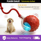 Buy 2 (Rolling Ball + Rechargeable Bouncing Ball), Get the Interactive Ball FREE | For Dogs & Cats