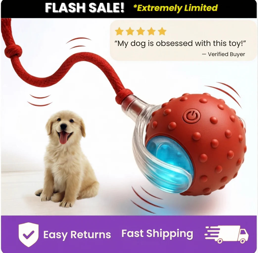 Buy 2 (Rolling Ball + Rechargeable Bouncing Ball), Get the Interactive Ball FREE | For Dogs & Cats